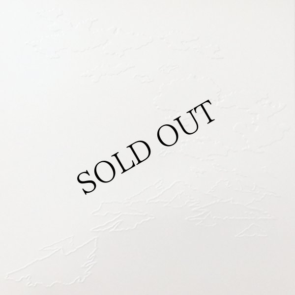 画像3: Glauco Salvo "5 Haiku" [LP]