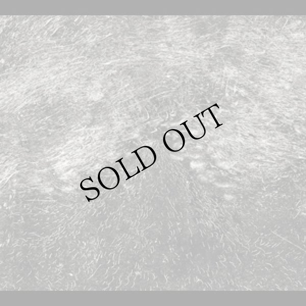 画像1: Manuel Mota "I II" [2 × CD]