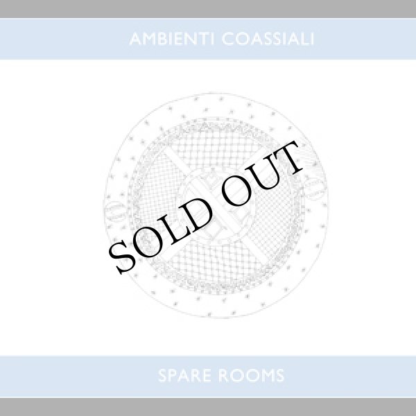 画像1: Ambienti Coassiali "Spare Rooms" [LP]