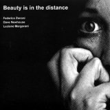 画像: Federico Zenoni, Dave Newhouse, Luciano Margorani "Beauty Is In The Distance" [CD]