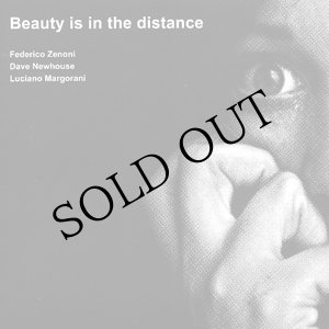 画像: Federico Zenoni, Dave Newhouse, Luciano Margorani "Beauty Is In The Distance" [CD]