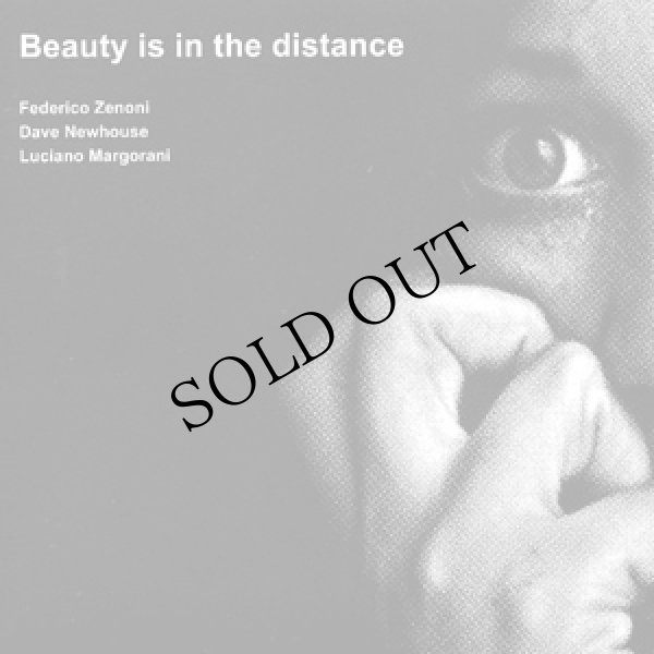 画像1: Federico Zenoni, Dave Newhouse, Luciano Margorani "Beauty Is In The Distance" [CD]