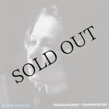 画像: Eliane Radigue "Transamorem - Transmortem" [CD]