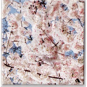 画像: Millipede "Full Bloom" [CD-R]