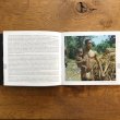 画像3: V.A "Central Africa - Musical Anthology Of The Aka Pygmies" [2CD]