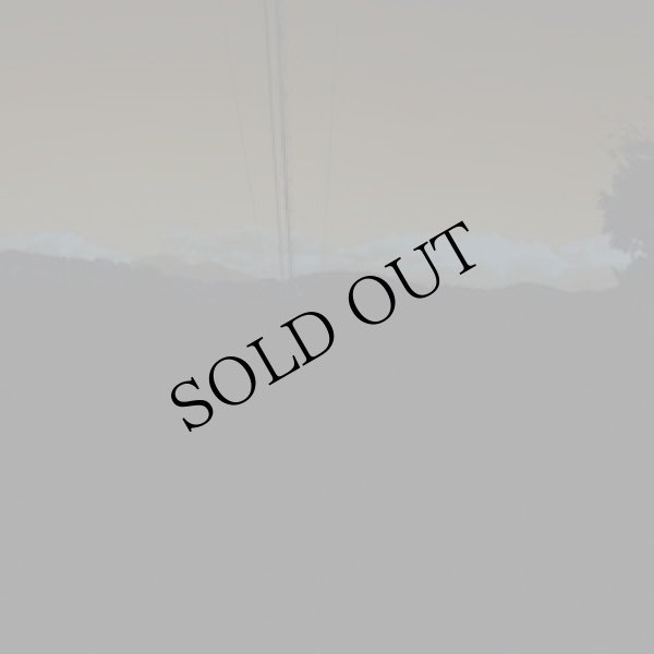 画像1: Jim O'rourke "To Magnetize Money and Catch a Roving Eye" [4CD Box]