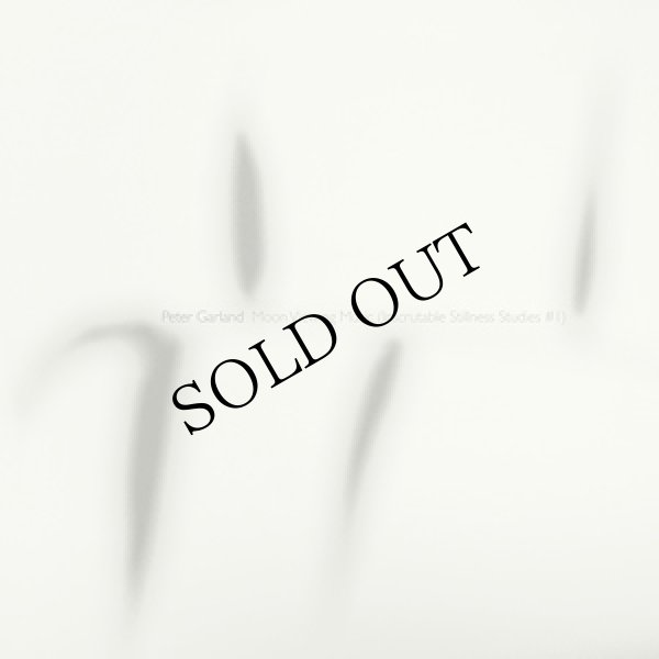 画像1: Peter Garland "Moon Viewing Music (Inscrutable Stillness Studies #1)" [CD]