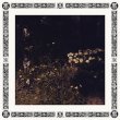 画像1: Sarah Davachi "Pale Bloom" [LP]