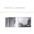 画像2: Steve Piccolo "Domestic Exile" [LP]