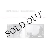 画像: Steve Piccolo "Domestic Exile" [CD]