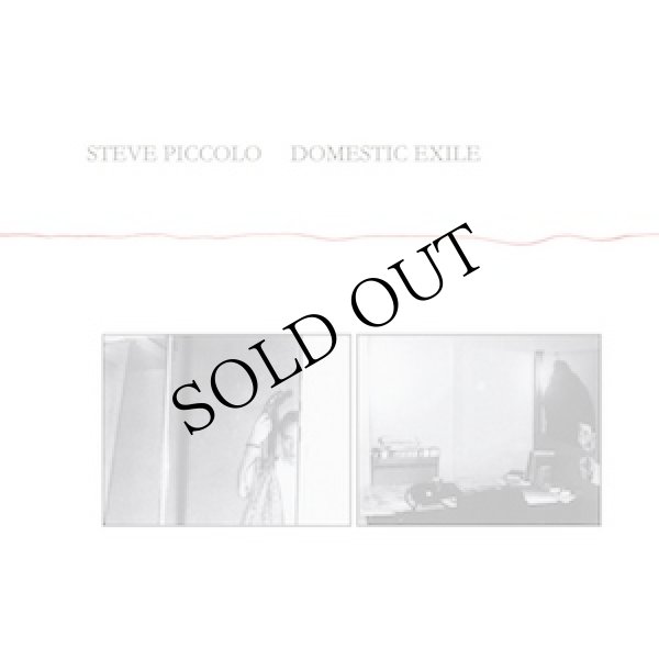 画像1: Steve Piccolo "Domestic Exile" [CD]