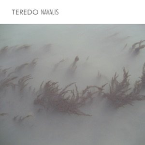 画像: Enrico Coniglio "TEREDO NAVALIS" [CD]