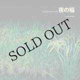 画像: 工藤礼子 = Reiko Kudo "夜の稲 = Rice Field Silently Riping In The Night" [LP]