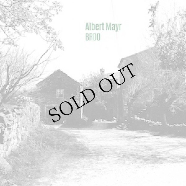 画像1: Albert Mayr "Brdo" [CD]