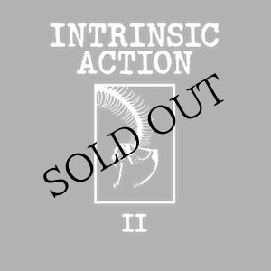 画像: Intrinsic Action "II" [CD]