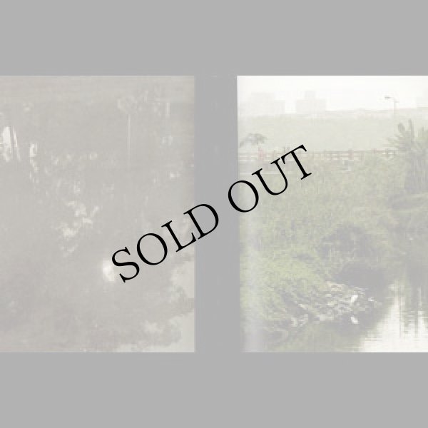 画像2: Yannick Dauby & Wan-Shuen Tsai, Shijingren "Treasure" [Book + CD]