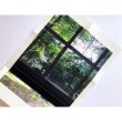 画像3: Viv Corringham "On The Hour In The Woods" [CD]