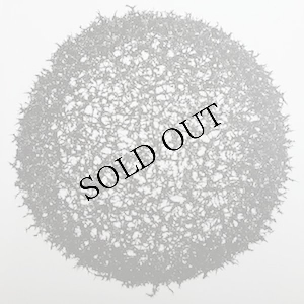 画像1: Rhodri Davies | Mark Wastell "Live In Melbourne" [CD]