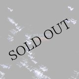 画像: Erik Griswold "Ecstatic Descent" [CD]