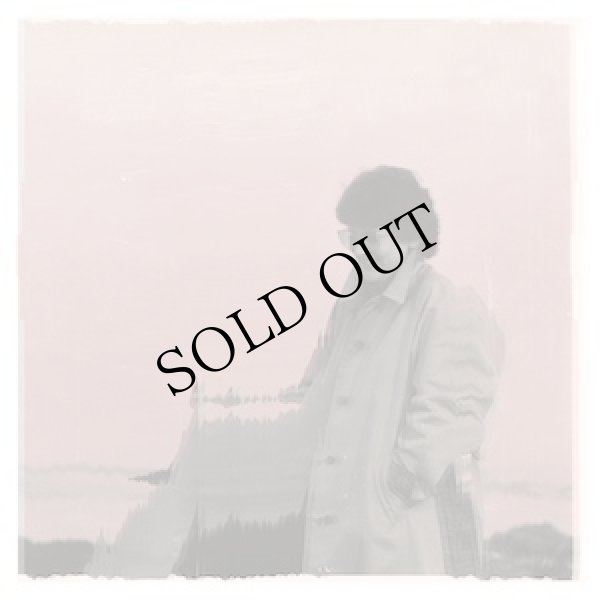 画像1: The Volume Settings Folder "Laguna Remixes" [CD-R]