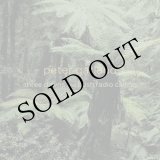 画像: Peter Garland "Three Dawns and Bush Radio Calling" [CD]