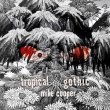 画像1: Mike Cooper "Tropical Gothic" [2CD]