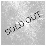 画像: Andrew Pekler "Tristes Tropiques" [LP]