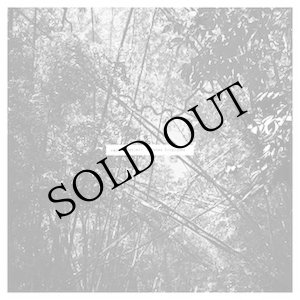 画像: Andrew Pekler "Tristes Tropiques" [LP]