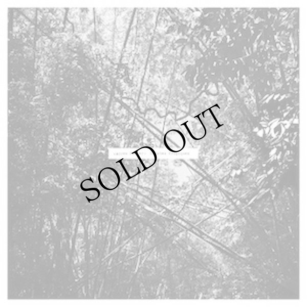 画像1: Andrew Pekler "Tristes Tropiques" [LP]