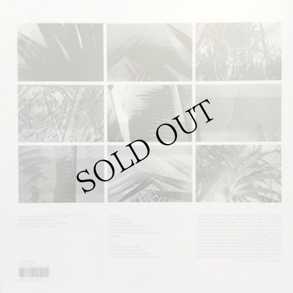 画像2: Andrew Pekler "Tristes Tropiques" [LP]