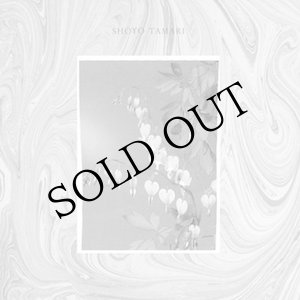 画像: Shoyo Tamari [Cassette]