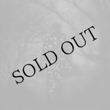 画像: Emmanuel Holterbach "Le reve, l’ombre et la vision" [CD]