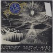 画像1: Robert Archer "Nature's Dream Harp" [CD-R]