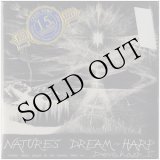 画像: Robert Archer "Nature's Dream Harp" [CD-R]