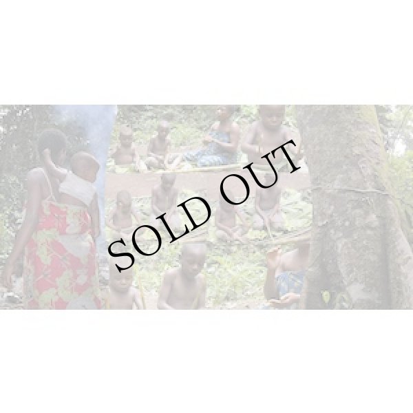 画像4: Pygmies MBENZELE - Pygmies AKA "DAYS FULL OF SOUND - life in the rainforest" [2CD + 40 pages booklet]