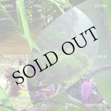 画像: Pygmies MBENZELE - Pygmies AKA "DAYS FULL OF SOUND - life in the rainforest" [2CD + 40 pages booklet]