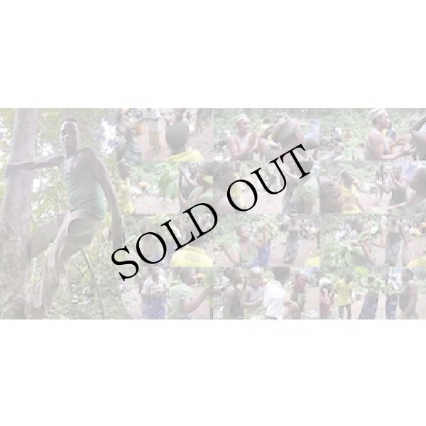 画像5: Pygmies MBENZELE - Pygmies AKA "DAYS FULL OF SOUND - life in the rainforest" [2CD + 40 pages booklet]