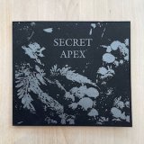 画像: Secret Apex [CD]