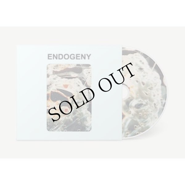 画像2: Gen Ken Montgomery "Endogeny" [CD]