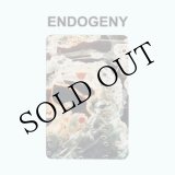 画像: Gen Ken Montgomery "Endogeny" [CD]
