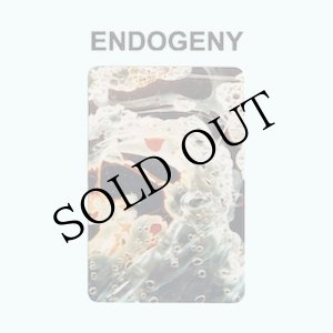 画像: Gen Ken Montgomery "Endogeny" [CD]