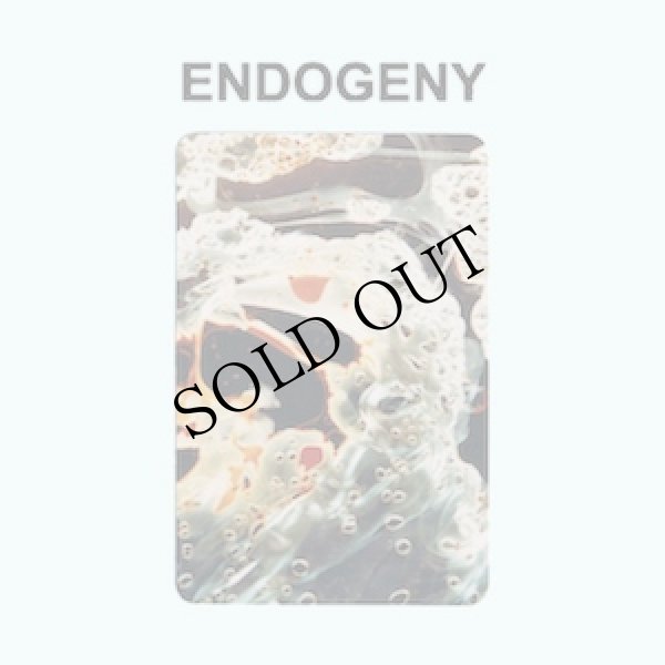 画像1: Gen Ken Montgomery "Endogeny" [CD]