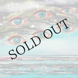 画像: Nurse With Wound "Salt Marie Celeste - Salt" [2CD]