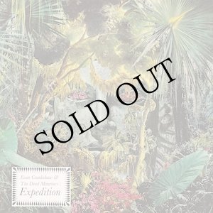 画像: Evan Crankshaw & The Dead Mauriacs "Expedition" [CD]