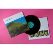 画像2: Tom Van Der Geld "Small Mountain" [LP]