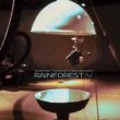 画像1: David Tudor - Composers Inside Electronics "Rainforest IV" [CD]