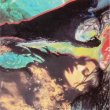 画像3: Nurse With Wound "Chromanatron" [CD]