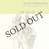 画像: Walter Zimmermann "Synastria" [CD]