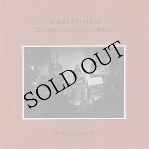 画像: Arnold Dreyblatt, The Orchestra Of Excited Strings "Nodal Excitation" [LP]