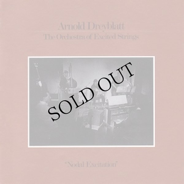 画像1: Arnold Dreyblatt, The Orchestra Of Excited Strings "Nodal Excitation" [LP]